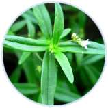 8846����˹(�й�)�ɷ����޹�˾