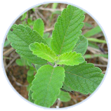 8846����˹(�й�)�ɷ����޹�˾