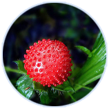 8846����˹(�й�)�ɷ����޹�˾