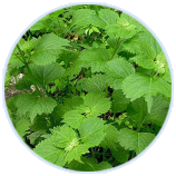 8846����˹(�й�)�ɷ����޹�˾