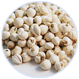 8846����˹(�й�)�ɷ����޹�˾