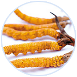 8846����˹(�й�)�ɷ����޹�˾